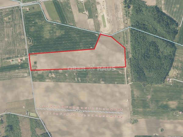 Klaipėdos r. sav., Smilgynai