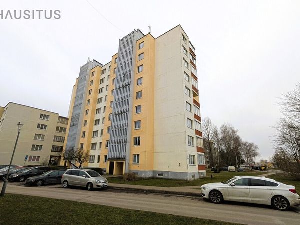 Panevėžys, Klaipėda