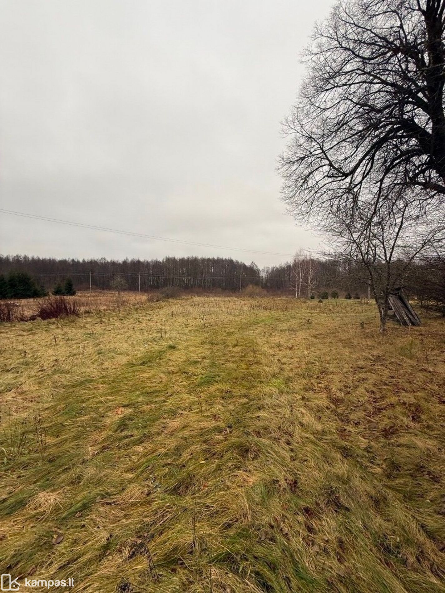 Main Image Šalčininkų r. sav., Milvydai, Užupio g.