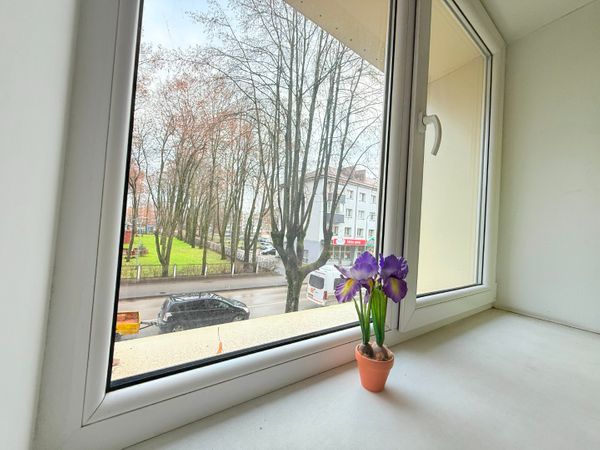 Šilutės r. sav., Šilutė