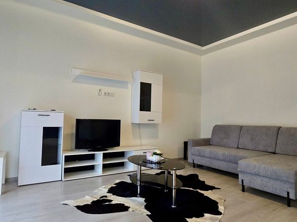 Kėdainių r. sav., Kėdainiai