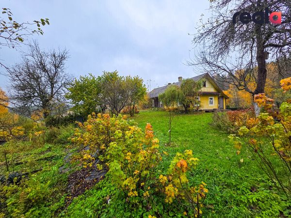 Ignalinos r. sav., Remeniškė