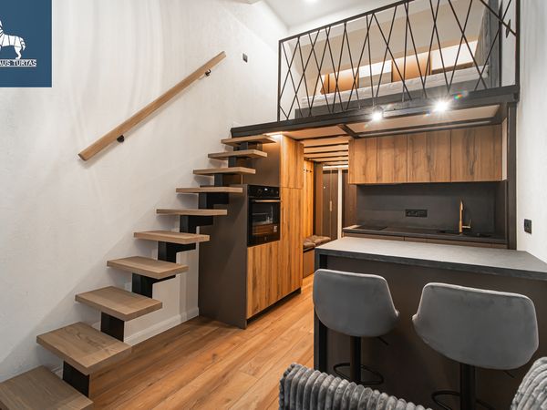 Vilnius, Naujamiestis