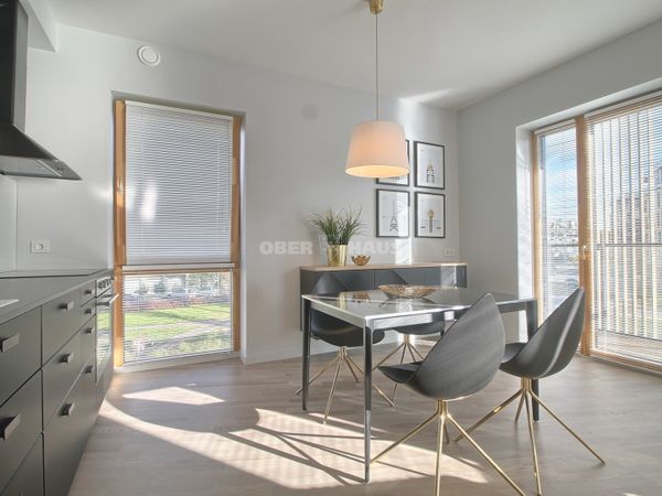 Vilnius, Šnipiškės