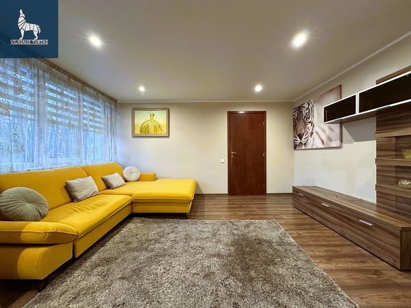 Panevėžys, Centras