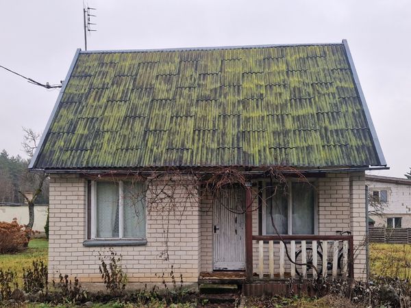 Jurbarko r. sav., Vanaginė