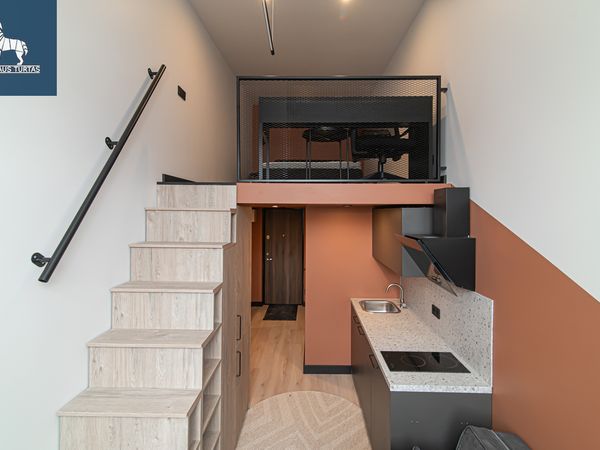 Vilnius, Naujamiestis