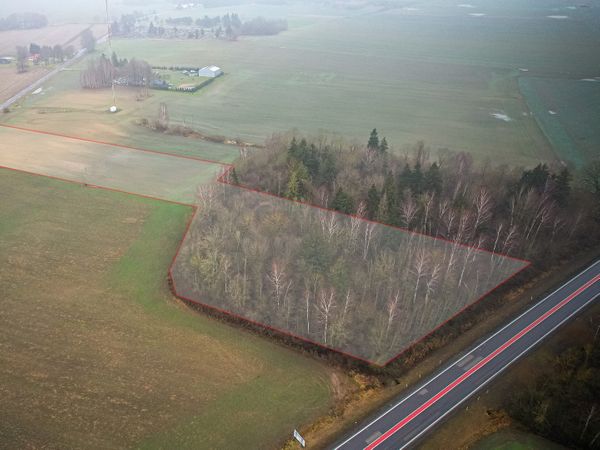 Kėdainių r. sav., Gelnai