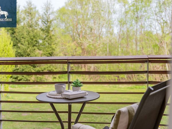 Vilniaus r. sav., Masionys