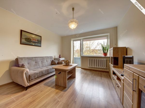 Vilnius, Grigiškės