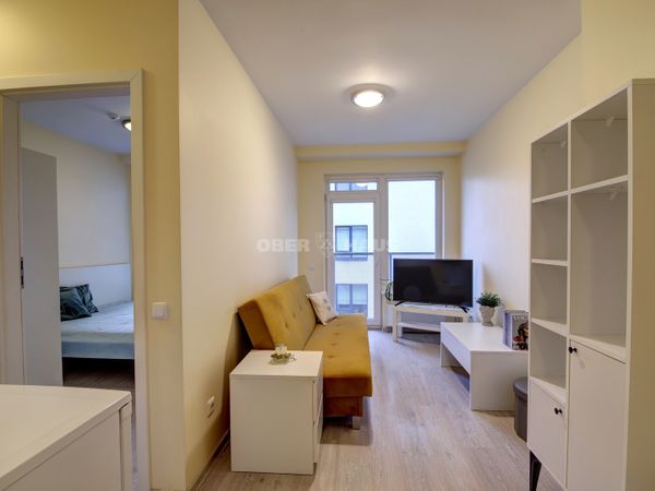 Vilnius, Naujamiestis