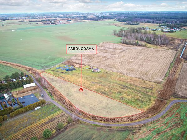 Kauno r. sav., Rokeliai