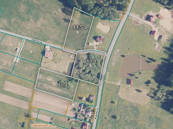 Širvintų r. sav., Dailidžionys