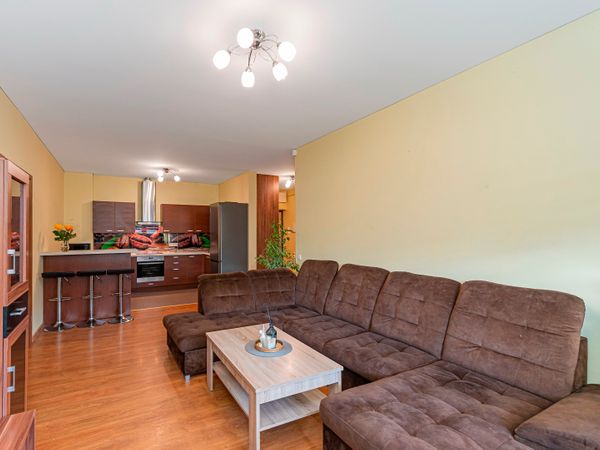 Kauno r. sav., Domeikava