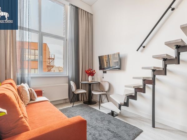 Vilnius, Naujamiestis