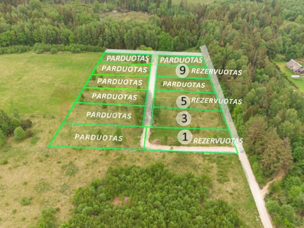 Vilniaus r. sav., Palaukinė