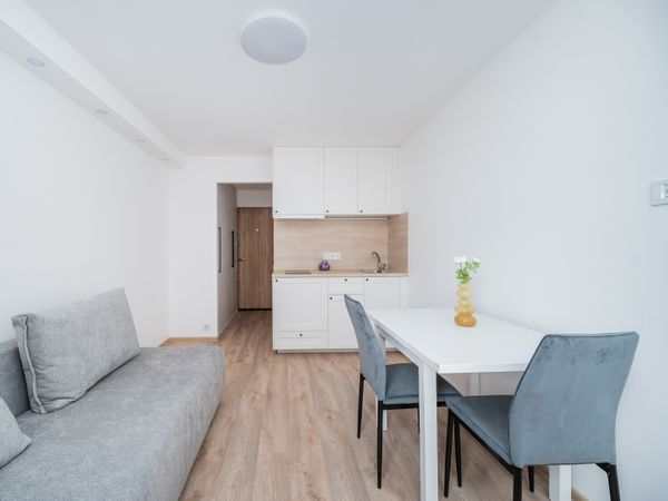 Vilnius, Naujamiestis