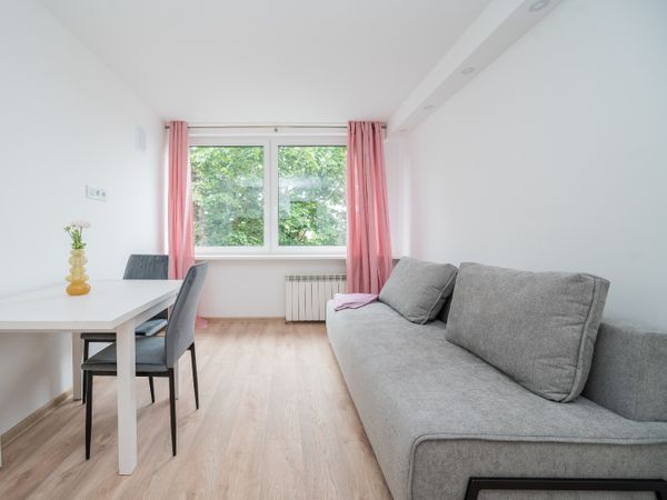 Vilnius, Naujamiestis