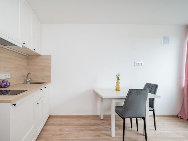 Vilnius, Naujamiestis