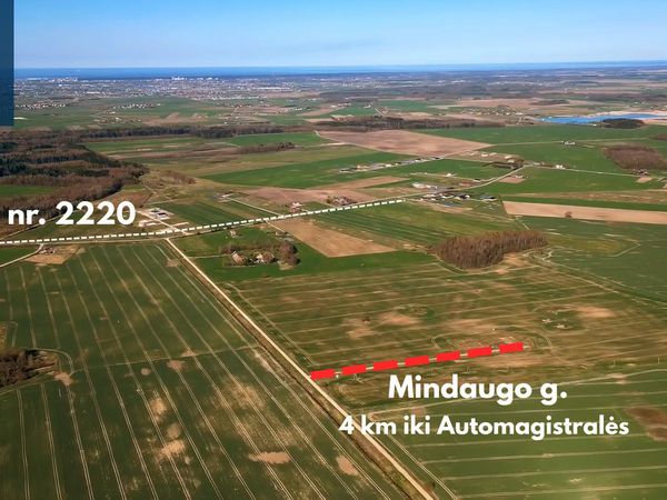 Klaipėdos r. sav., Eglynai