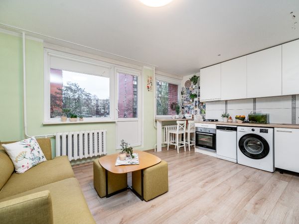 Vilnius, Šnipiškės