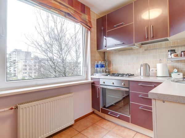 Vilnius, Šnipiškės