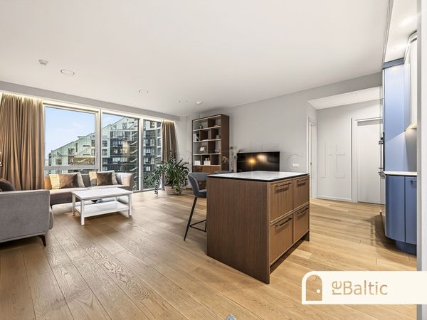 Vilnius, Šnipiškės