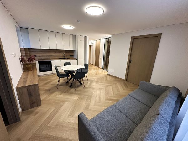 Panevėžys, Centras