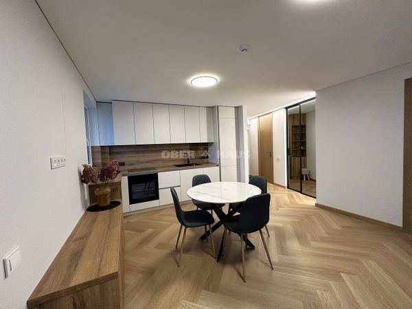 Panevėžys, Centras