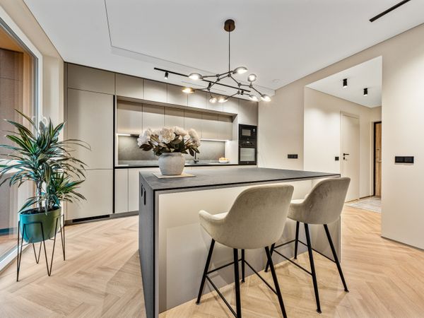 Vilnius, Šnipiškės