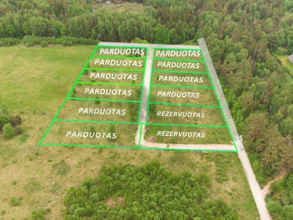 Vilniaus r. sav., Palaukinė