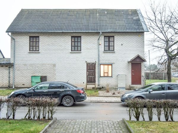 Panevėžys, Tulpės