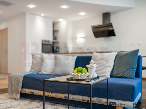 Vilnius, Šnipiškės