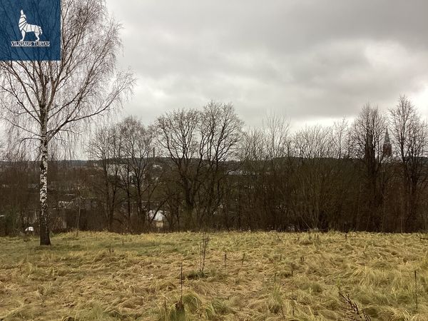 Anykščių r. sav., Anykščiai