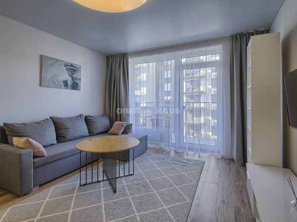 Vilnius, Šnipiškės