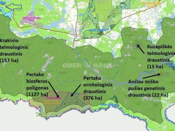 Lazdijų r. sav., Kauknoris