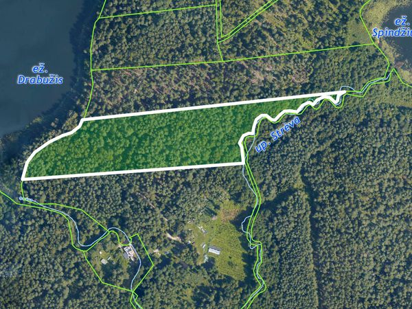 Trakų r. sav., Lausgeniai