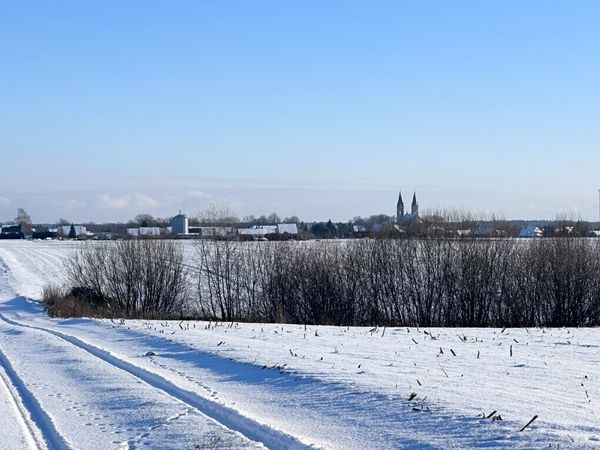 Panevėžio r. sav., Krekenava