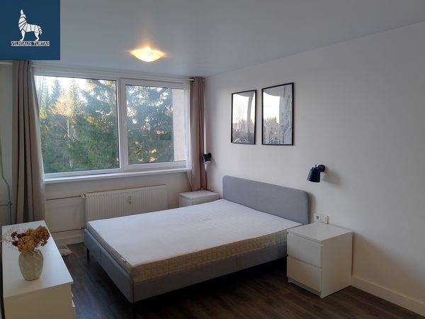 Anykščių r. sav., Anykščiai