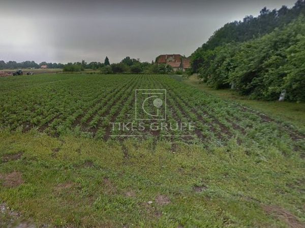 Klaipėdos r. sav., Lapiai