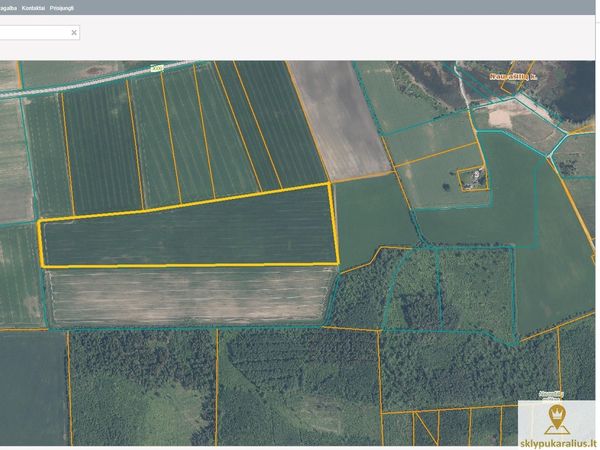 Panevėžio r. sav., Naurašiliai