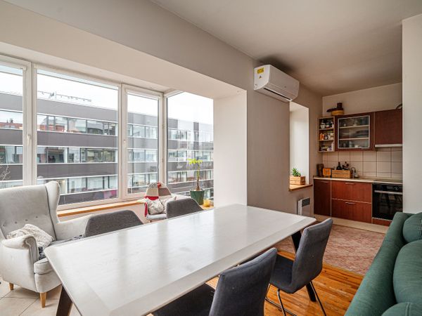 Vilnius, Šnipiškės