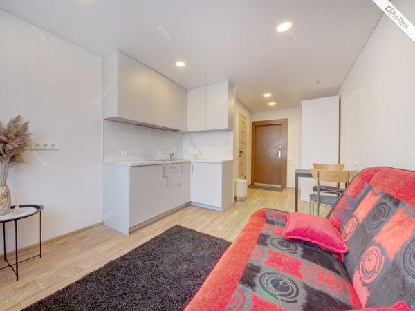 Vilnius, Šnipiškės