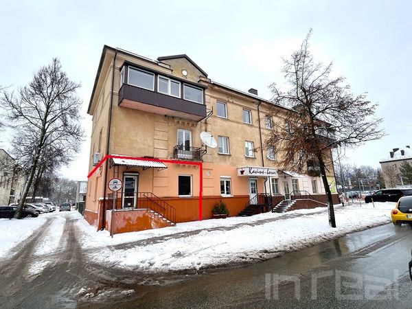 Panevėžys, Centras