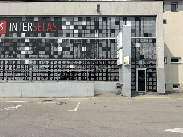 Panevėžys, Rožės