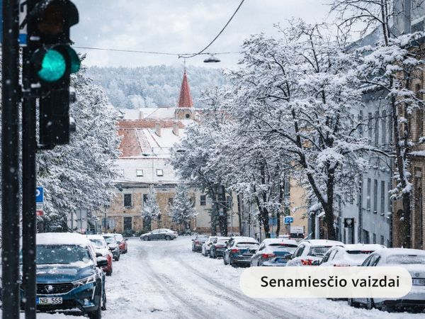 Vilnius, Naujamiestis
