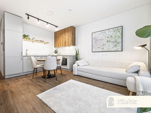 Vilnius, Naujamiestis