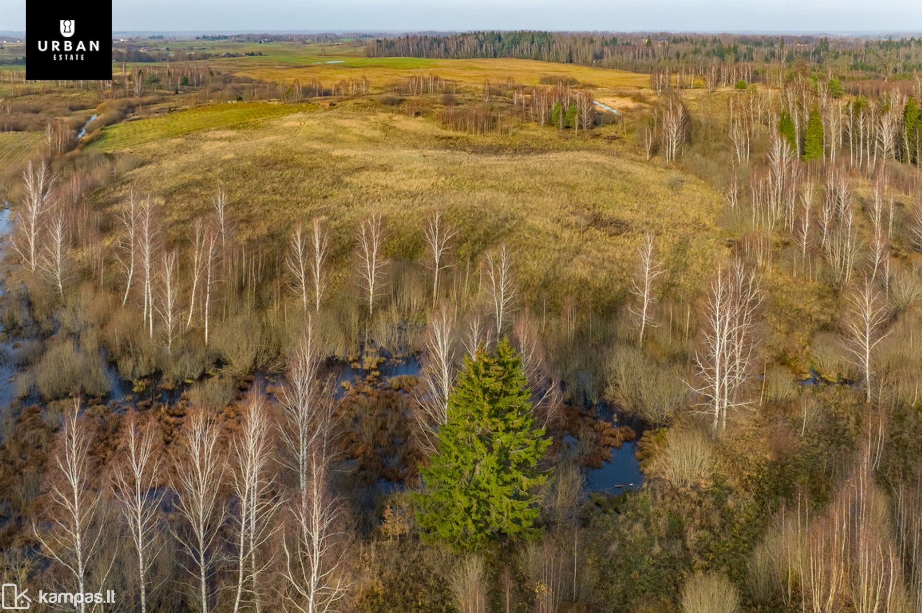 Main Image Vilniaus r. sav., Levydonys