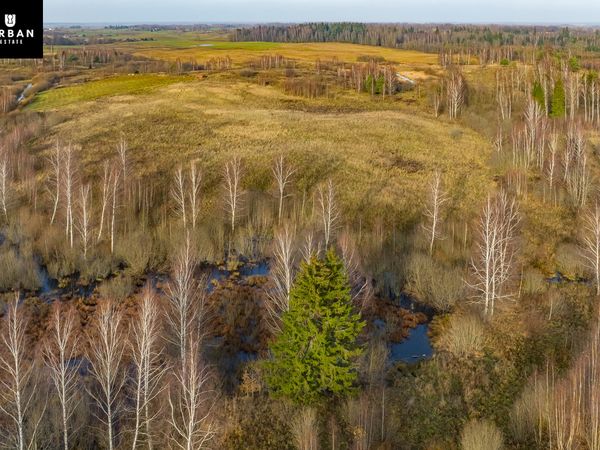 Vilniaus r. sav., Levydonys