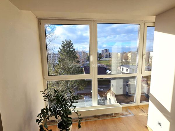 Panevėžys, Centras